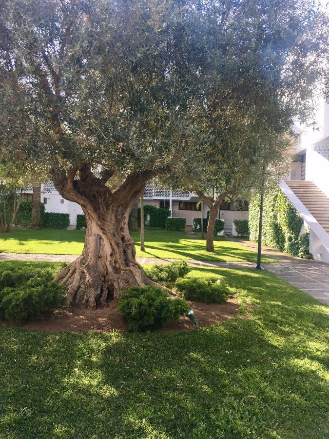 Appartement Canopus Paradise